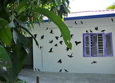 homestay wall paintings